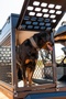 SIDE BY SIDE'S / SXS DOG BOXES